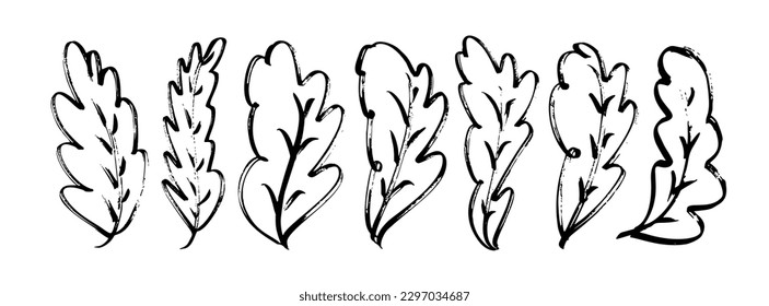 Outline oak leaves collection. Hand drawn simple botanical elements isolated on white. Brush drawn foliage. Horizontal botanical banner. Abstract black oak leaves. Scribble and scratch drawing.