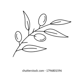 Olive Outline Images, Stock Photos & Vectors | Shutterstock