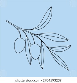 Perfilar una rama de olivo con dos hojas de aceitunas Palabras claves de color azul claro: oliva