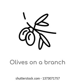 outline olives on a branch vector icon. isolated black simple line element illustration from ecology concept. editable vector stroke olives on a branch icon on white background