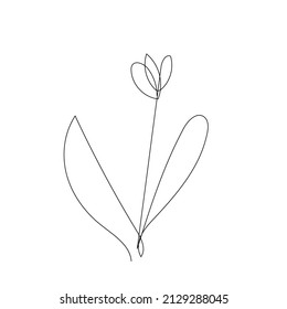 outline one line spring flower doodle handdrawn