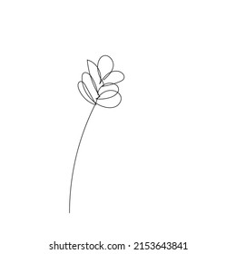delinear una línea de dibujo manual de la flor del resorte