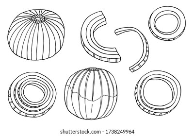 Outline onion vector illustration set. Hand drawn black and white bulb, rings and slices of onion. Fresh ingredients doodle drawing
