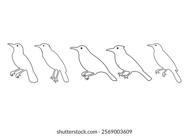 Outline Oriole Bird Illustration Design Set