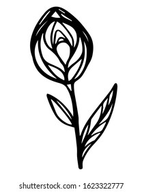 Outline ornament tulip and leaves. Hand drawn vector stock illustration of ornament abstract flower. Isolated on white. Trendy design for International Women's Day, Mother's Day. Floral concept. 