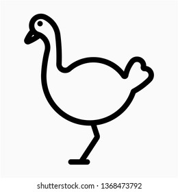 Outline ostrich vector icon