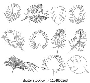 outline palm leaf, set
