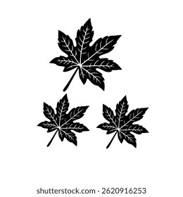 outline of Papaya leaf clipart vector