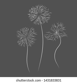 Outline pattern of dandelion flowers on the stems. Hand drawing with pen pattern background, cloth, fabric, design