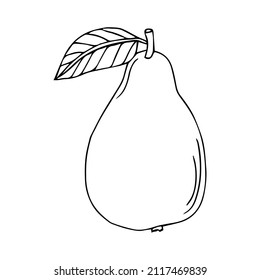 outline pear with leaf icon isolated on white, doodle fruit, kids hand drawing art line, vector stock illustration