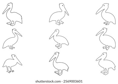 Outline Pelican Bird Illustration Design Set