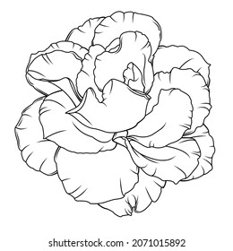 Outline peony flower flat style. Pattern for coloring. Isolated vector illustration on white background