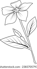 outline periwinkle drawing, periwinkle flower line drawing, clip art periwinkle flower outline, noyontara coloring pages for kids, step by step periwinkle flower drawing