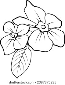 outline periwinkle drawing, periwinkle flower line drawing, clip art noyontara flower outline, shadabahar coloring pages for kids, step by step periwinkle flower drawing, Madagascar periwinkle drawing