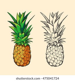 Outline pineapple and color cartoon pineapple with green leaves vector illustration