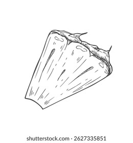 Outline of pineapple slices isolated on a white background, drawn vector illustration.