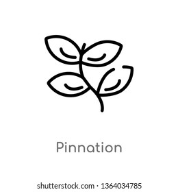 outline pinnation vector icon. isolated black simple line element illustration from nature concept. editable vector stroke pinnation icon on white background