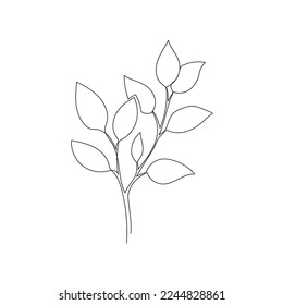 Outline plant eucalyptus leaf. One continuous line art decorative plant leaf. Editable stroke eucalyptus foliage floral element. Isolated vector illustration