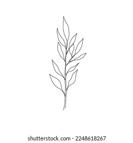 Outline plant eucalyptus leaf. One continuous line art decorative plant leaf. Editable stroke eucalyptus foliage floral element. Isolated vector illustration