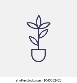 Outline plant icon illustration vector symbol