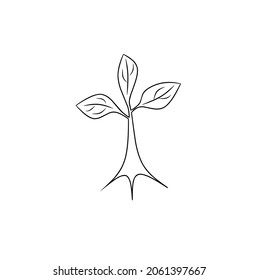 Outline plant icon isolated on white background