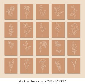 Outline plants set, line drawing art, wildflowers set, botanical plants isolated, simple art design, abstract line outline, vector for frame, fashion design