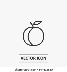 Outline plum  icon illustration vector symbol