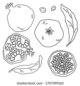 Contorno granado sobre fondo blanco aislado. Frutas exóticas para la tarjeta de regalo, logo de la tienda de alimentos saludables, baldosas de baño, paquete de jugo, libro de color. Maletín telefónico o impresión de tela. Ilustración vectorial de estilo dibujado