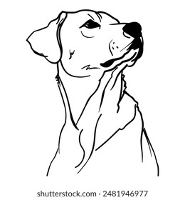 Outline portrait of labrador. Hand drawn dog vector illustration in black color isolated on white background. Line art. Engraved style.