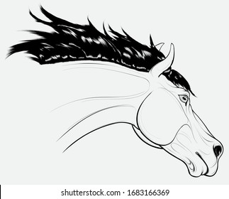 Outline portrait of a running horse with long fluttering mane. Stallion lowered its head. Vector clip art for equestrian clubs and for coloring books hobby. 