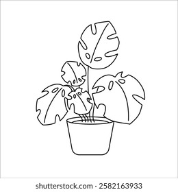 Outline potted houseplant. Monstera icon