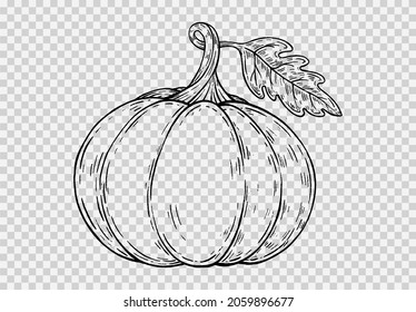 Rahmenkürbis-handgezeichnet mit Pinselstil einzeln auf pnnor oder transparenter Textur, Halloween-Partyhintergrund, Elementvorlage für Poster, Broschüren, Online-Werbung,Vektorgrafik 