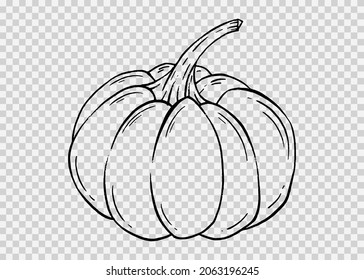 Outline pumpkin hand draw with brush style isolated on png or transparent texture,Halloween party background ,element template for poster,brochures, online advertising,vector illustration 