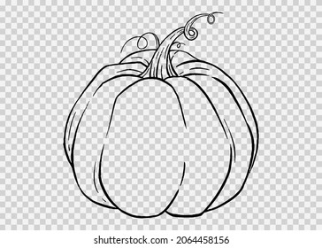 Outline pumpkin hand draw with brush style isolated on png or transparent texture,Halloween party background ,element template for poster,brochures, online advertising,vector illustration 