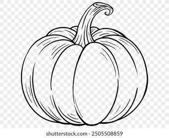 Dibujo de la mano de la calabaza del contorno con el estilo del cepillo aislado en png o textura transparente, fondo del partido de Halloween, Plantilla del elemento para el cartel, folletos, publicidad en línea, Ilustración vectorial 