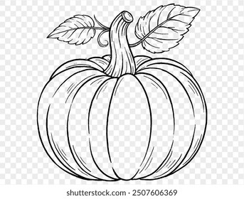 Outline pumpkin hand draw with brush style isolated on png or transparent texture,Halloween party background ,element template for poster, brochures, online advertising, vector illustration 