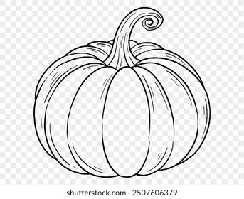 Outline pumpkin hand draw with brush style isolated on png or transparent texture,Halloween party background ,element template for poster, brochures, online advertising, vector illustration 