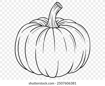 Outline pumpkin hand draw with brush style isolated on png or transparent texture,Halloween party background ,element template for poster, brochures, online advertising, vector illustration 