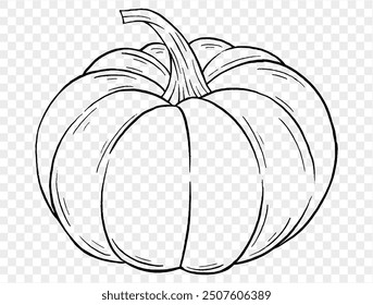 Outline pumpkin hand draw with brush style isolated on png or transparent texture,Halloween party background ,element template for poster, brochures, online advertising, vector illustration 