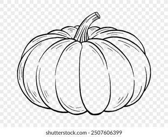 Outline pumpkin hand draw with brush style isolated on png or transparent texture,Halloween party background ,element template for poster, brochures, online advertising, vector illustration 