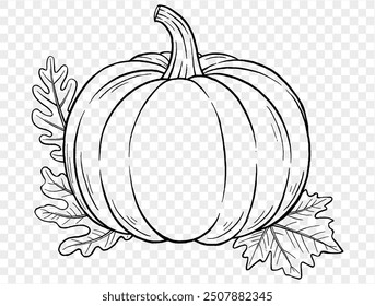 Outline pumpkin hand draw with brush style isolated on png or transparent texture,Halloween party background ,element template for poster, brochures, online advertising, vector illustration 