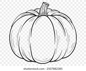 Outline pumpkin hand draw with brush style isolated on png or transparent texture,Halloween party background ,element template for poster, brochures, online advertising, vector illustration