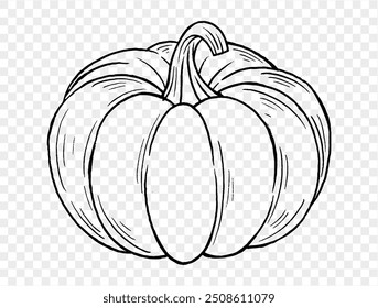 Outline pumpkin hand draw with brush style isolated on png or transparent texture,Halloween party background ,element template for poster, brochures, online advertising, vector illustration 