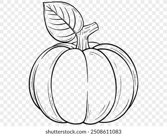 Outline pumpkin hand draw with brush style isolated on png or transparent texture,Halloween party background ,element template for poster, brochures, online advertising, vector illustration
