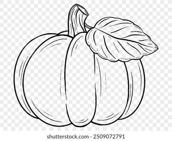 Outline pumpkin hand draw with brush style isolated on png or transparent texture,Halloween party background ,element template for poster, brochures, online advertising, vector illustration