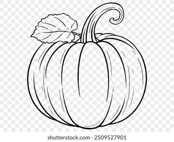 Outline pumpkin hand draw with brush style isolated on png or transparent texture,Halloween party background ,element template for poster, brochures, online advertising, vector illustration