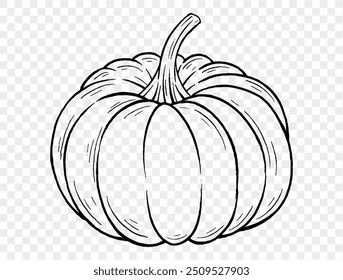 Umriss Kürbis Handzeichnung mit Pinsel Stil einzeln auf Ping oder transparente Textur, Halloween Party Hintergrund, Element Vorlage für Poster, Broschüren, Online-Werbung, Vektorgrafik 