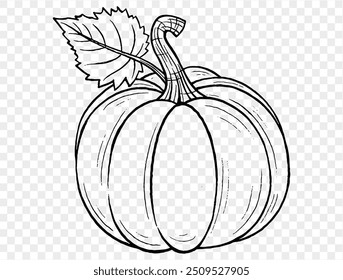 Outline pumpkin hand draw with brush style isolated on png or transparent texture,Halloween party background ,element template for poster, brochures, online advertising, vector illustration