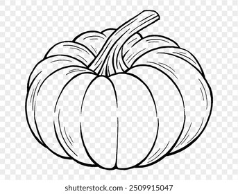 Outline pumpkin hand draw with brush style isolated on png or transparent texture,Halloween party background ,element template for poster, brochures, online advertising, vector illustration 