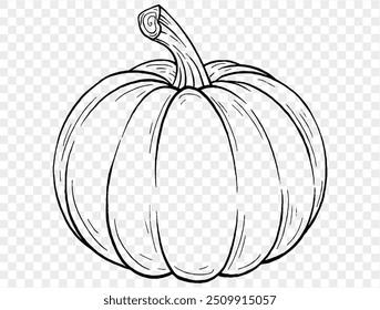 Outline pumpkin hand draw with brush style isolated on png or transparent texture,Halloween party background ,element template for poster, brochures, online advertising, vector illustration